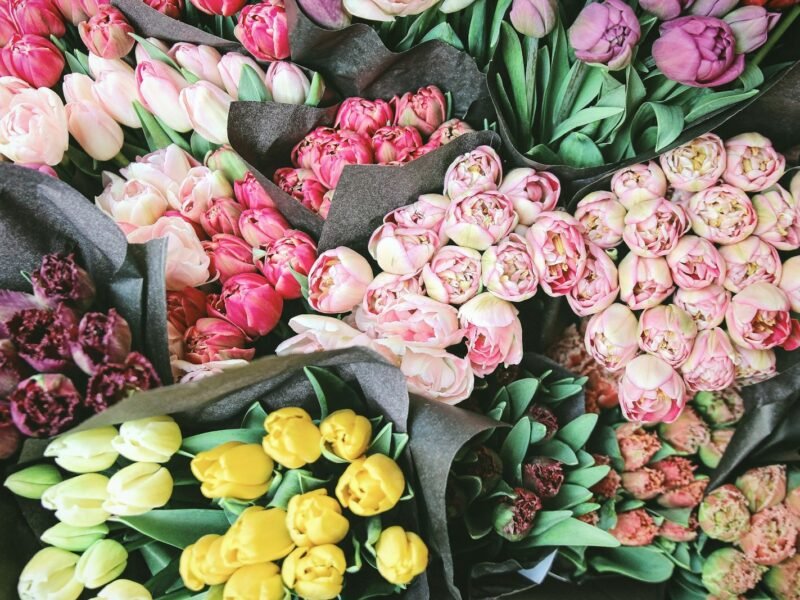Bouquet of mixed tulips