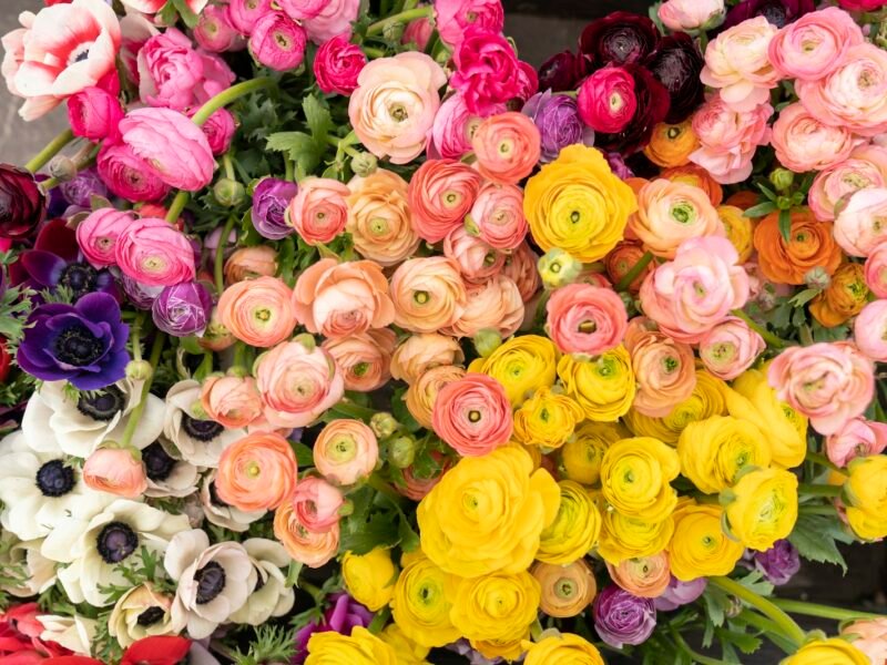 Pink, green and white flower bouquet