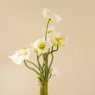 White poppies in an amber glass vase