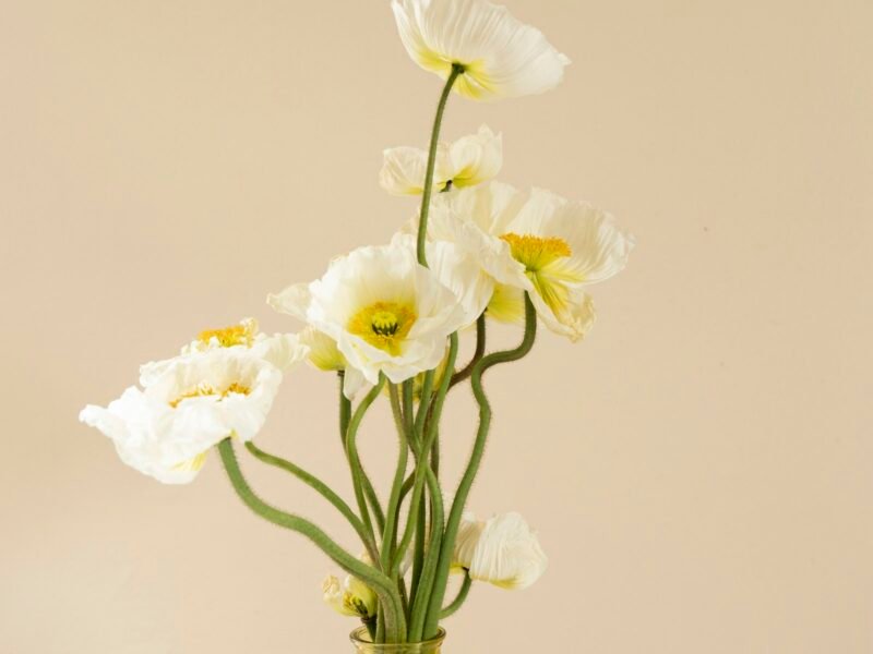 Fernwood Florals